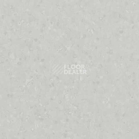 Линолеум Forbo Sphera Element 50003 light neutral grey фото 1 | FLOORDEALER